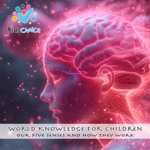 Audiobook Our five senses and how they work - KidsChoice - KidsChoice