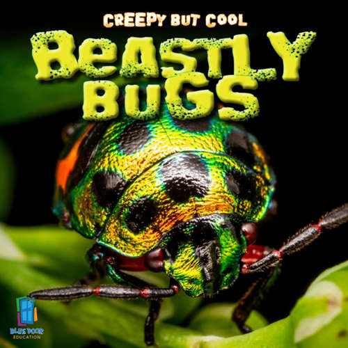 Audiobook Creepy but Cool Beastly Bugs - Alan Walker - Blue Door