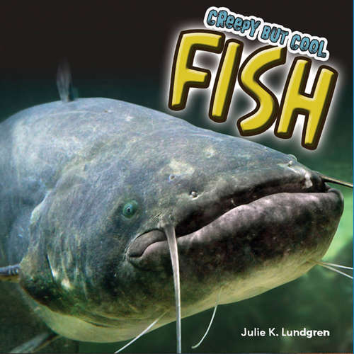 Audiobook Creepy but Cool Fish - Julie K. Lundgren - Blue Door