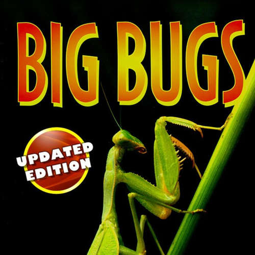 Audiobook Big Bugs - Seymour Simon - Dan Bittner