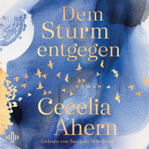 Hoerbuch Dem Sturm entgegen - Cecelia Ahern - Sandrine Mittelstädt