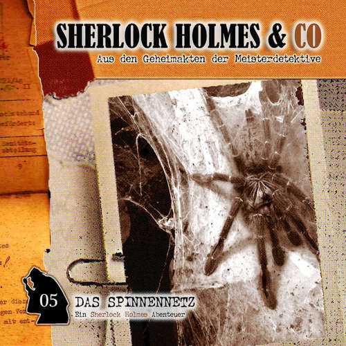 Hoerbuch Sherlock Holmes & Co, Folge 5: Das Spinnennetz - Markus Winter - Charles Rettinghaus