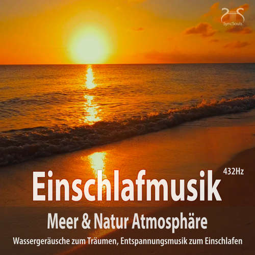 Hoerbuch Einschlafmusik (432Hz) Meer Natur Atmosphäre: Wassergeräusche zum Träumen - Entspannungsmusik zum Einschlafen, Meeresauschen, Seevögel - Torsten Abrolat - Torsten Abrolat