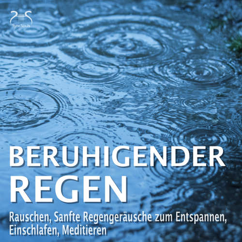 Hoerbuch Beruhigender Regen - Rauschen, Sanfte Regengeräusche zum Entspannen, Einschlafen, Meditieren - Naturgeräusche pur, Regentropfen, Leichter Regen, Waldregen, Leichtes Gewitter, Sommerregen, Regen am Abend - Torsten Abrolat - Torsten Abrolat