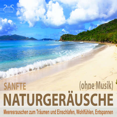 Hoerbuch Sanfte Naturgeräusche (ohne Musik) - Meeresrauschen zum Träumen und Einschlafen, Wohlfühlen, Entspannen - Wellenrauschen pur, sanfte Naturgeräusche pur - Torsten Abrolat - Torsten Abrolat