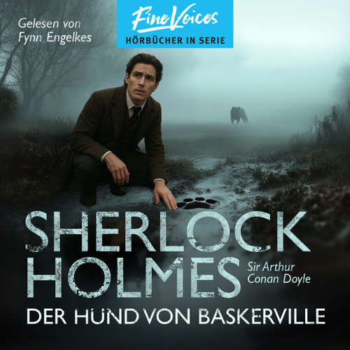 Hoerbuch Der Hund von Baskerville - Sherlock Holmes, Band 3 - Sir Arthur Conan Doyle - Fynn Engelkes