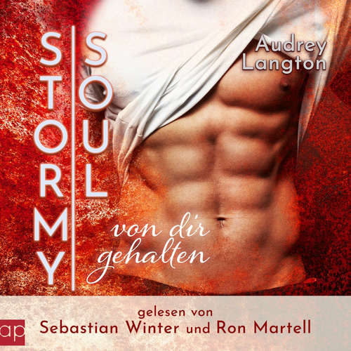 Hoerbuch Stormy Soul - Audrey Langton - Sebastian Winter