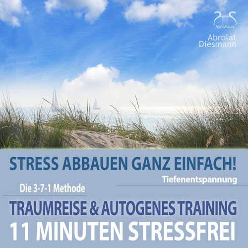 Hoerbuch 11 Minuten Stressfrei - Stress abbauen ganz einfach! Traumreise ans Meer & Autogenes Training - Tiefenentspannung - Torsten Abrolat - Torsten Abrolat