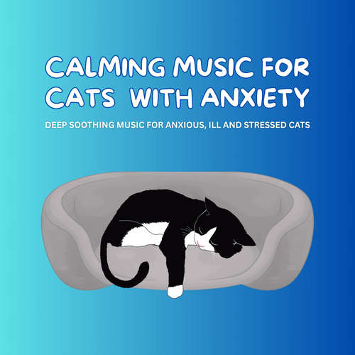 Audiobook Calming Music for Cats with Anxiety - Pet Music Therapy - Pet Music Therapy - Pet Music Therapy