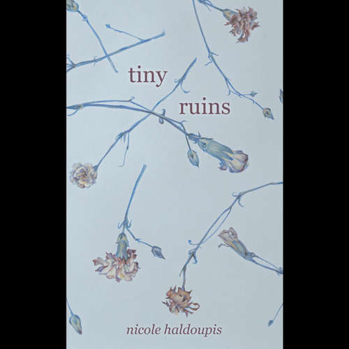 Audiobook Tiny Ruins - Nicole Haldoupis - Nicole Haldoupis