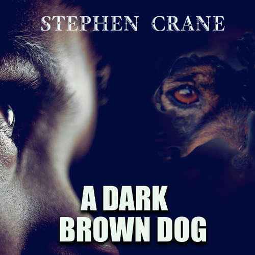 Audiobook A Dark Brown Dog - Stephen Crane - Peter Coates