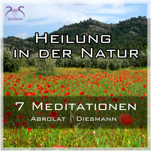 Hoerbuch Heilung in der Natur - 7 einzigartige geführte Meditationen zum Auftanken im Alltag - mit Naturklängen und Entspannungsmusik - SyncSouls Kurz-Meditationen Vol. 1 - Torsten Abrolat - Franziska Diesmann