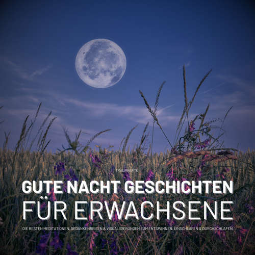 Hoerbuch Traumhafte Gute Nacht Geschichten für Erwachsene - Ganzheitliches Zentrum für Schlafstörungen - Ganzheitliches Zentrum für Schlafstörungen