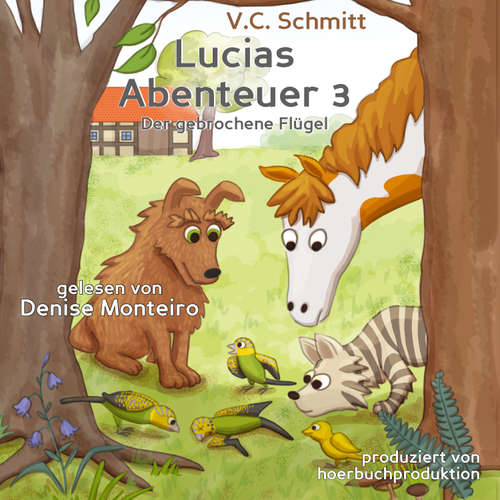 Hoerbuch Lucias Abenteuer 3 - V.C. Schmitt - Denise Monteiro