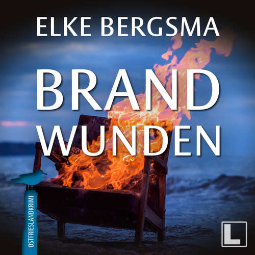 Hoerbuch Brandwunden - Büttner und Hasenkrug ermitteln, Band 10 - Elke Bergsma - Jürgen Holdorf