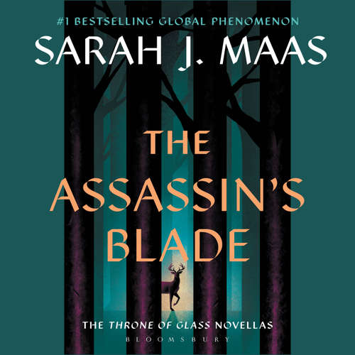 Audiobook The Assassin's Blade - Sarah J. Maas - Elizabeth Evans