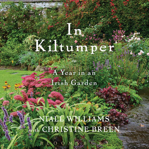 Audiobook In Kiltumper - Niall Williams - Christine Breen