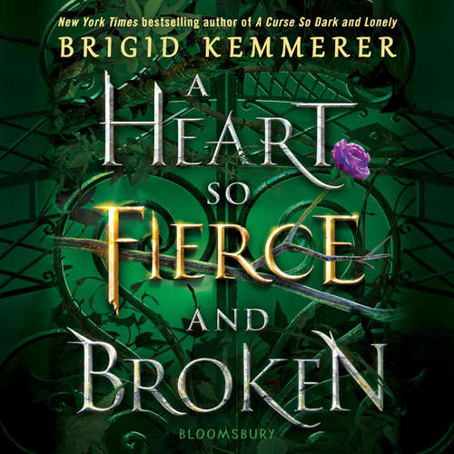 Audiobook A Heart So Fierce and Broken - Brigid Kemmerer - Davis Brooks