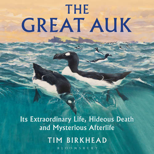Audiobook The Great Auk - Tim Birkhead - John Sackville