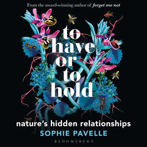 Audiobook To Have or To Hold - Sophie Pavelle - Sophie Pavelle