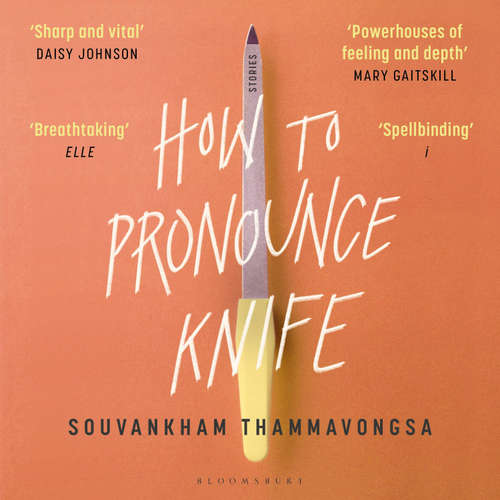 Audiobook How to Pronounce Knife - Souvankham Thammavongsa - James Tang