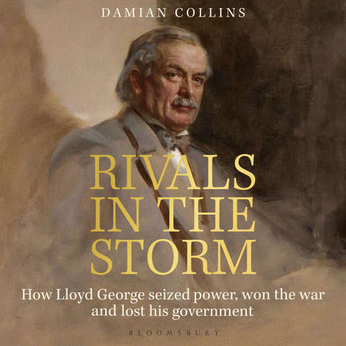 Audiobook Rivals in the Storm - Damian Collins - Dyfrig Morris