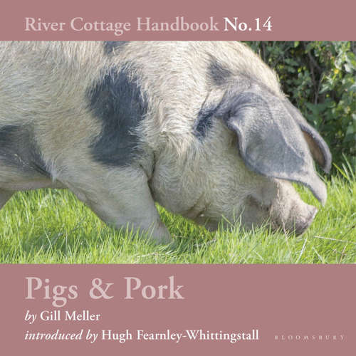 Audiobook Pigs & Pork - Gill Meller - Hugh Fearnley-Whittingstall