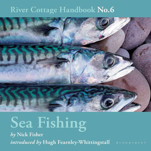 Audiobook Sea Fishing - Nick Fisher - Hugh Fearnley-Whittingstall