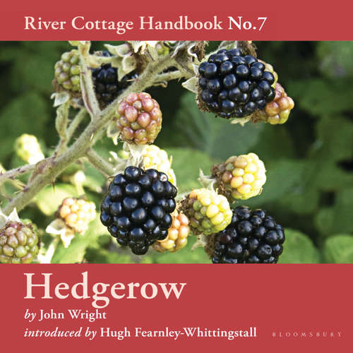 Audiobook Hedgerow - John Wright - Hugh Fearnley-Whittingstall