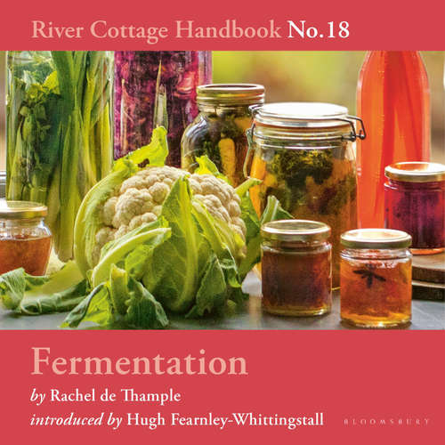 Audiobook Fermentation - Rachel de Thample - Gabrielle Glaister