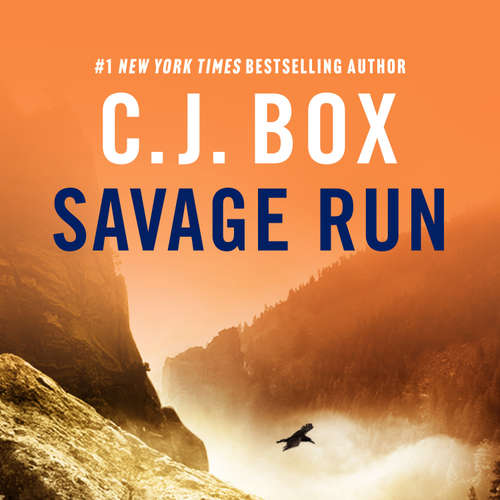 Audiobook Savage Run - C.J. Box - David Chandler