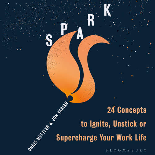 Audiobook Spark - Chris Mettler - John Chancer