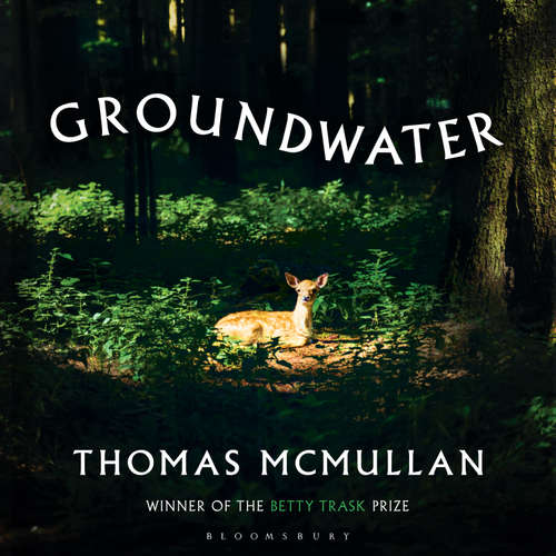 Audiobook Groundwater - Thomas McMullan - Elliot Chapman