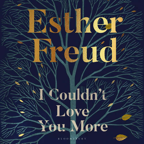 Audiobook I Couldn't Love You More - Esther Freud - Niamh Cusack