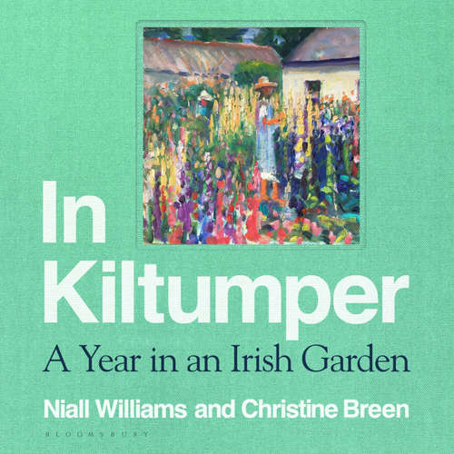 Audiobook In Kiltumper - Niall Williams - Christine Breen