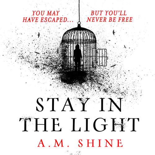Audiobook Stay in the Light - A.M. Shine - Jacqueline Milne