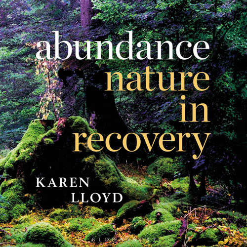 Audiobook Abundance - Karen Lloyd - Verity Henry