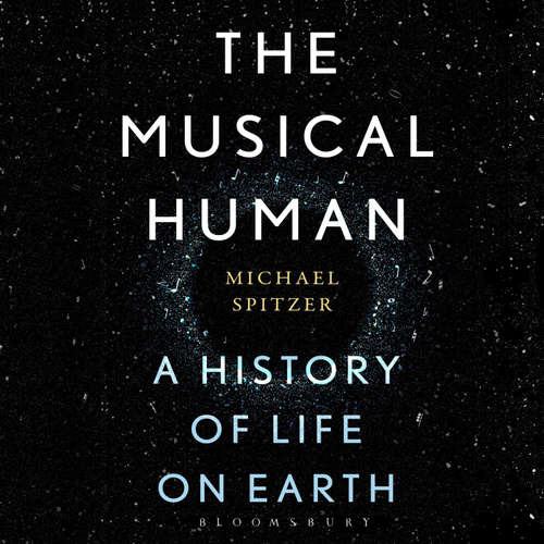 Audiobook The Musical Human - Michael Spitzer - Daniel Levitin