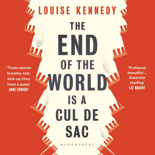 Audiobook The End of the World is a Cul de Sac - Louise Kennedy - Brid Brennan