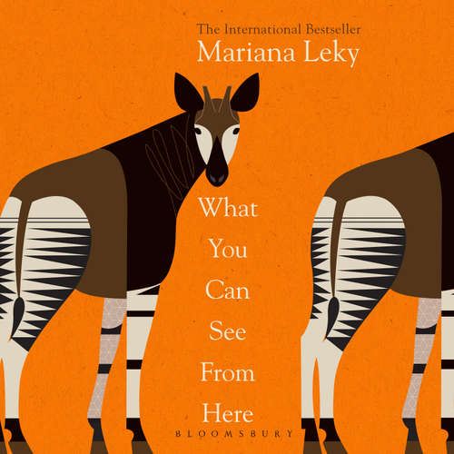 Audiobook What You Can See From Here - Mariana Leky - Kristin Atherton