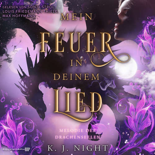 Hoerbuch Melodie der Drachenseelen - Mein Feuer in deinem Lied - K. J. Night - Louis Friedemann Thiele