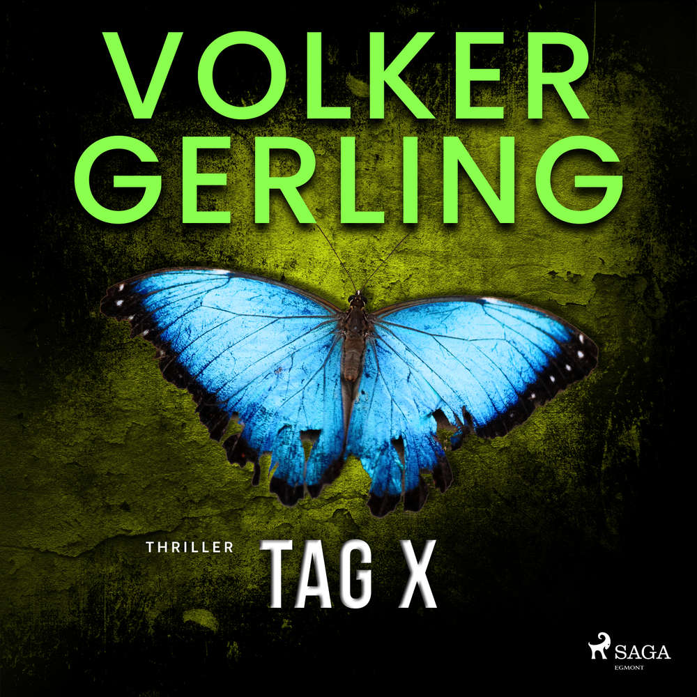Hoerbuch Tag X - Volker Gerling - Gerrit Petersen
