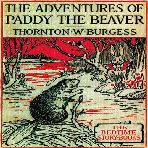 Audiobook The Adventures of Paddy the Beaver - Thornton W. Burgess - Carter R. Brickell