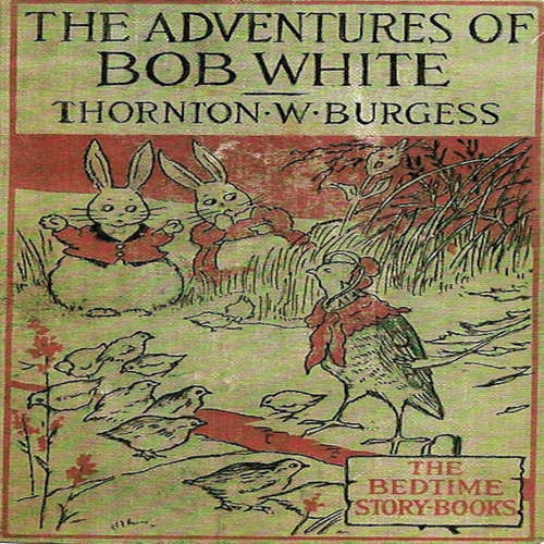 Audiobook The Adventures of Bob White - Thornton W. Burgess - Carter R. Brickell