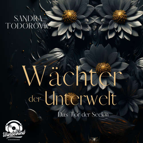 Hoerbuch Das Tor der Seelen - Wächter der Unterwelt, Band 3 - Sandra Todorovic - Emily Kaplan