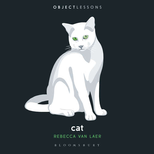 Audiobook Cat - Rebecca van Laer - Skipper Mari