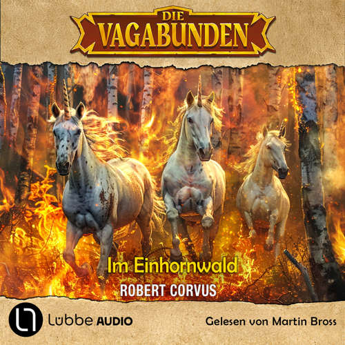 Hoerbuch Im Einhornwald - Die Vagabunden, Teil 3 - Robert Corvus - Martin Bross