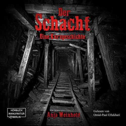 Hoerbuch Der Schacht - Anja Weinhold - Omid-Paul Eftekhari