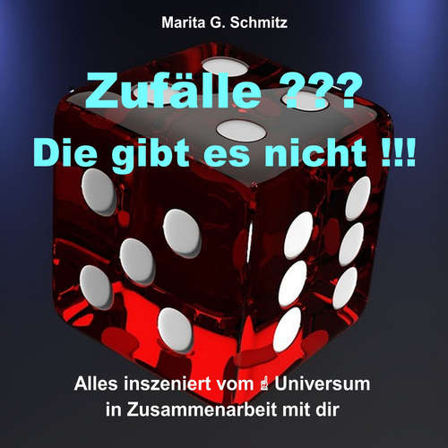 Hoerbuch Zufälle ??? Die gibt es nicht !!! - Marita G. Schmitz - Marita G. Schmitz