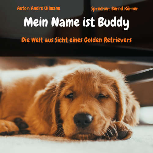 Hoerbuch Mein Name ist Buddy - Die Welt aus Sicht eines Golden Retrievers - André Ullmann - Bernd Körner